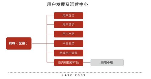 淘寶天貓融合 產(chǎn)品與運營策略的協(xié)同攻堅