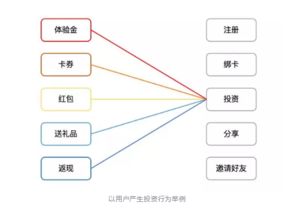 互聯(lián)網(wǎng)金融產(chǎn)品運營全案設計 策略、步驟與實戰(zhàn)解析